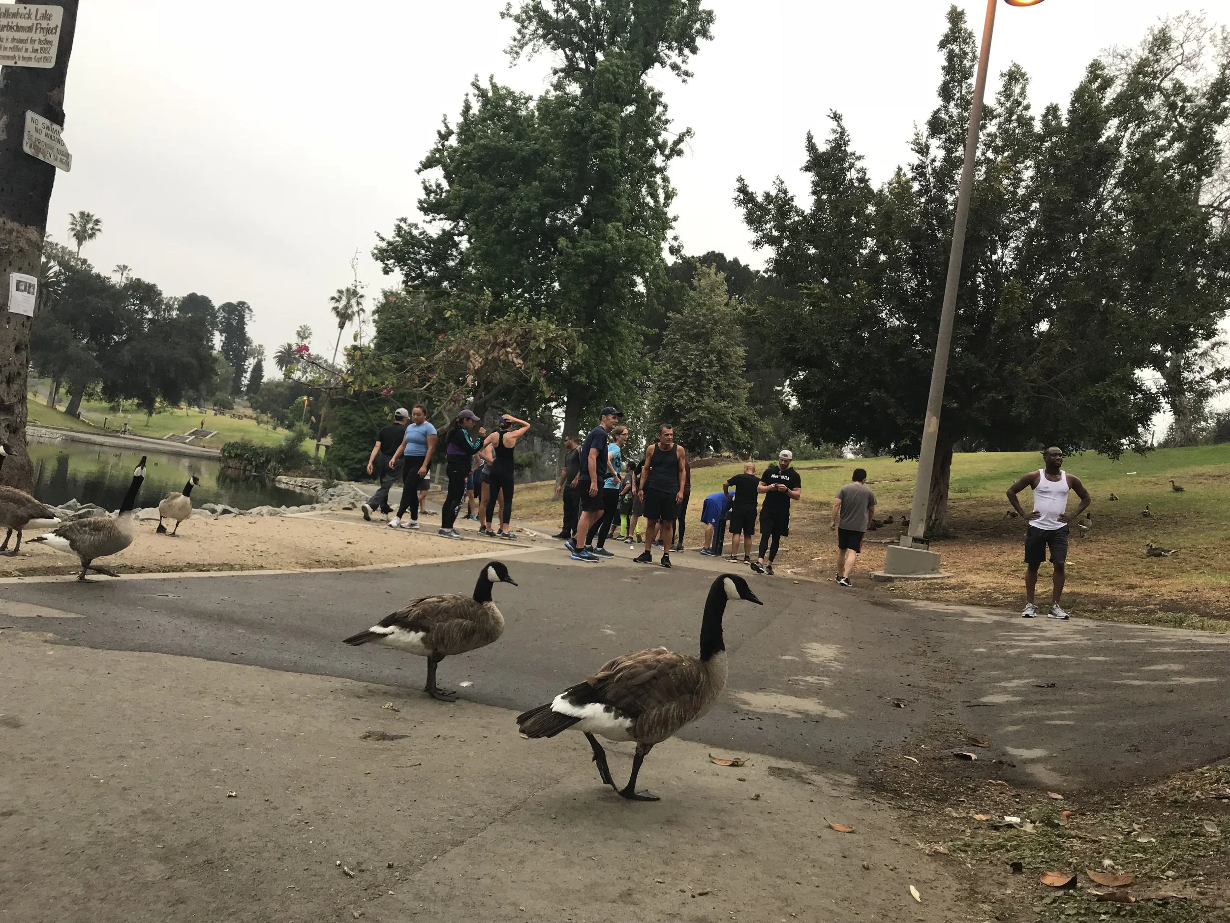 Why Hollenbeck park is the perfect rest stop