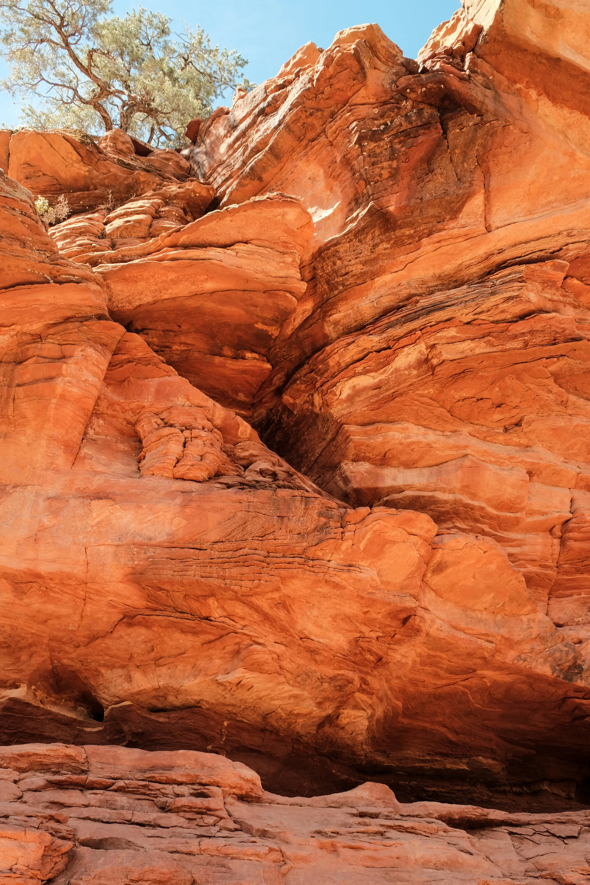 Chuckwagon & Devil's Bridge07.jpg