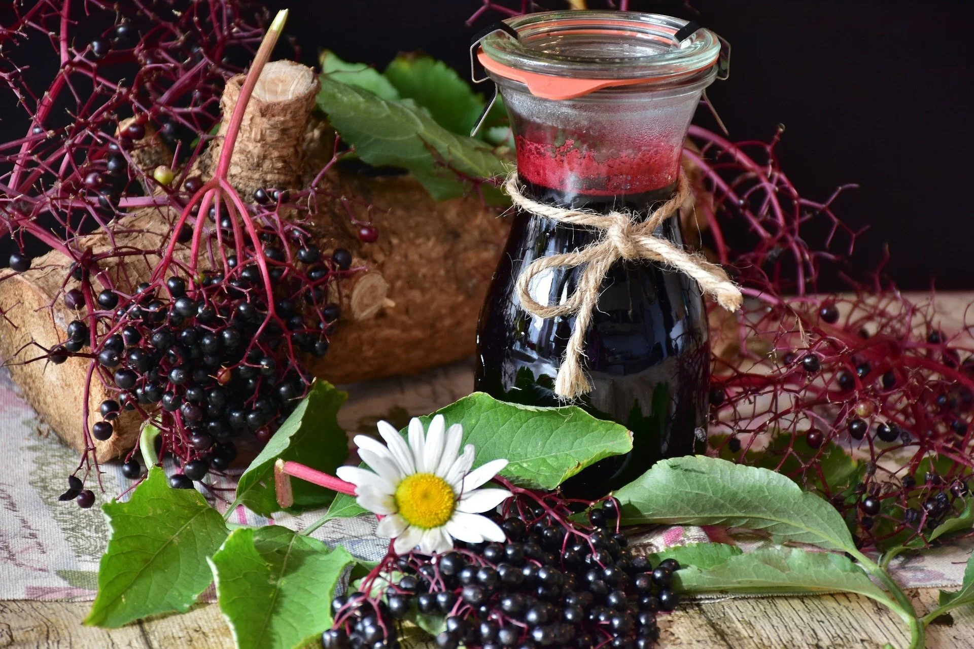 Herbst-Zeit / Beeren-Zeit: Eberesche &amp; Holunder am 30.9.21