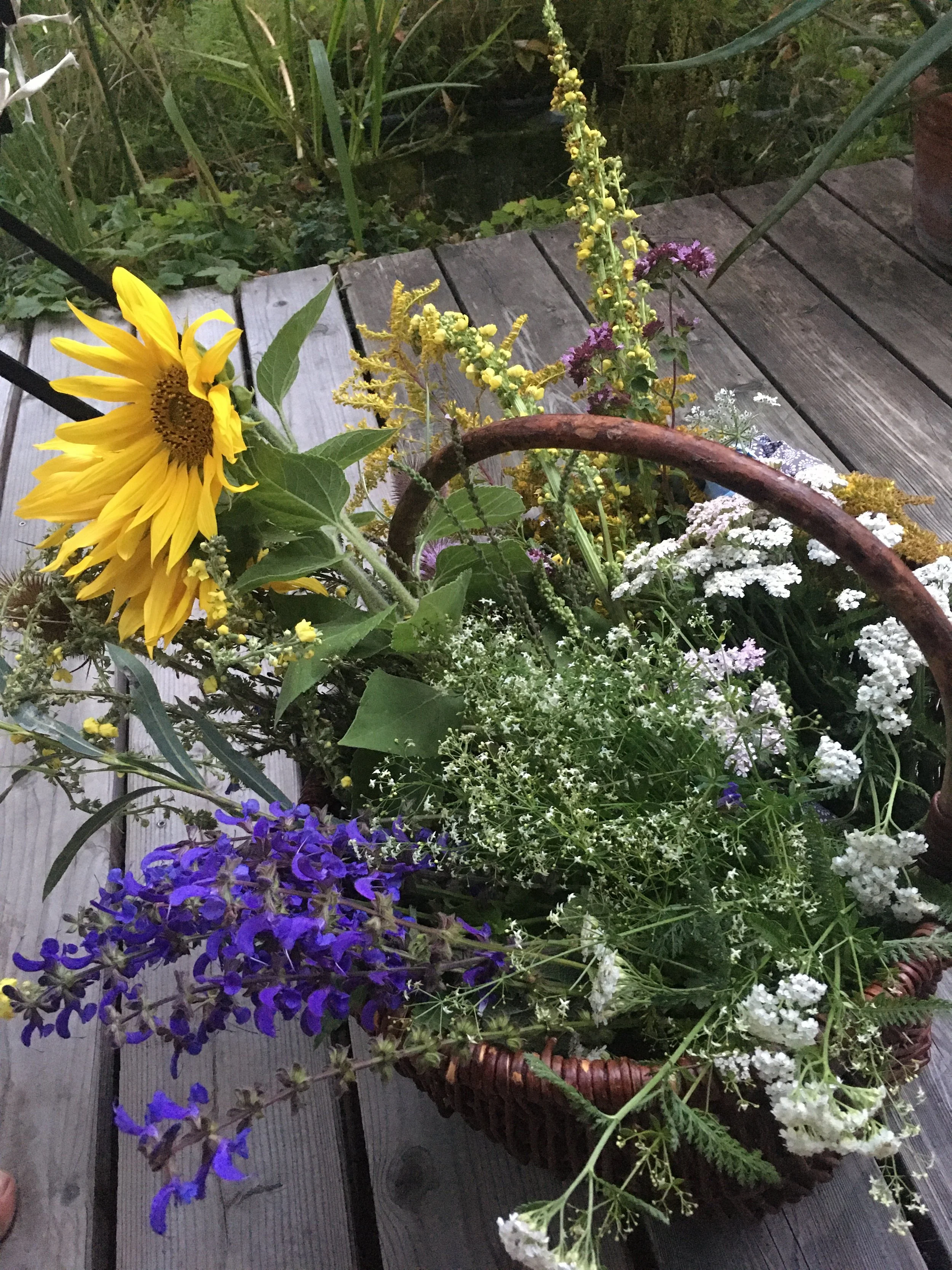 Kräuterwerkstatt für Familien am Sa, den 3.9.22