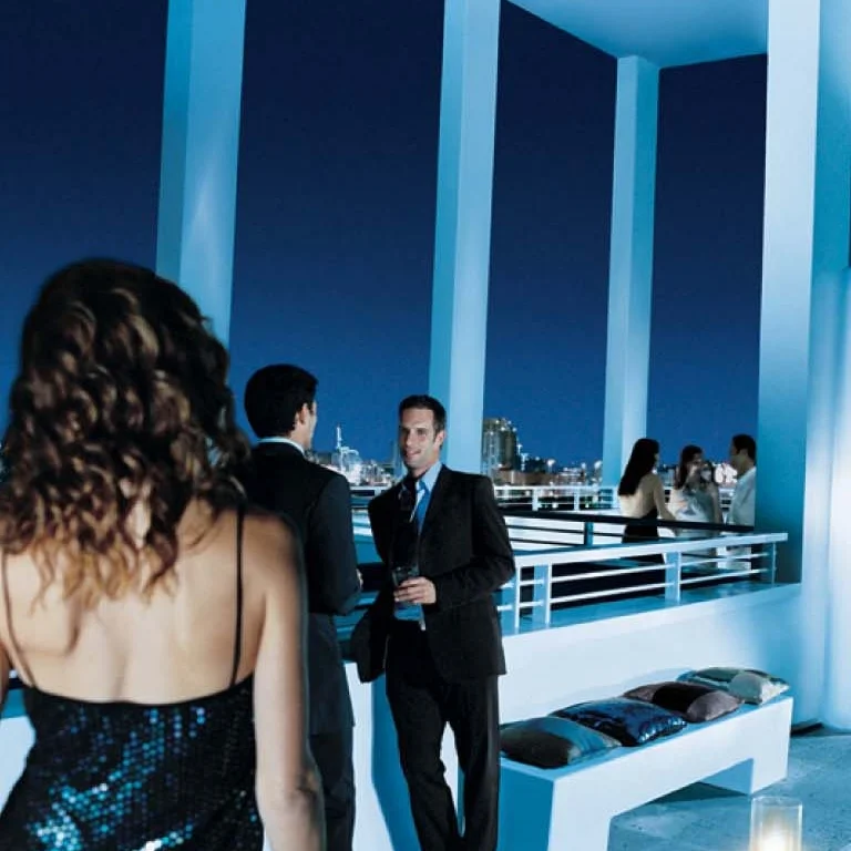 Rooftop partyParlInt.jpg
