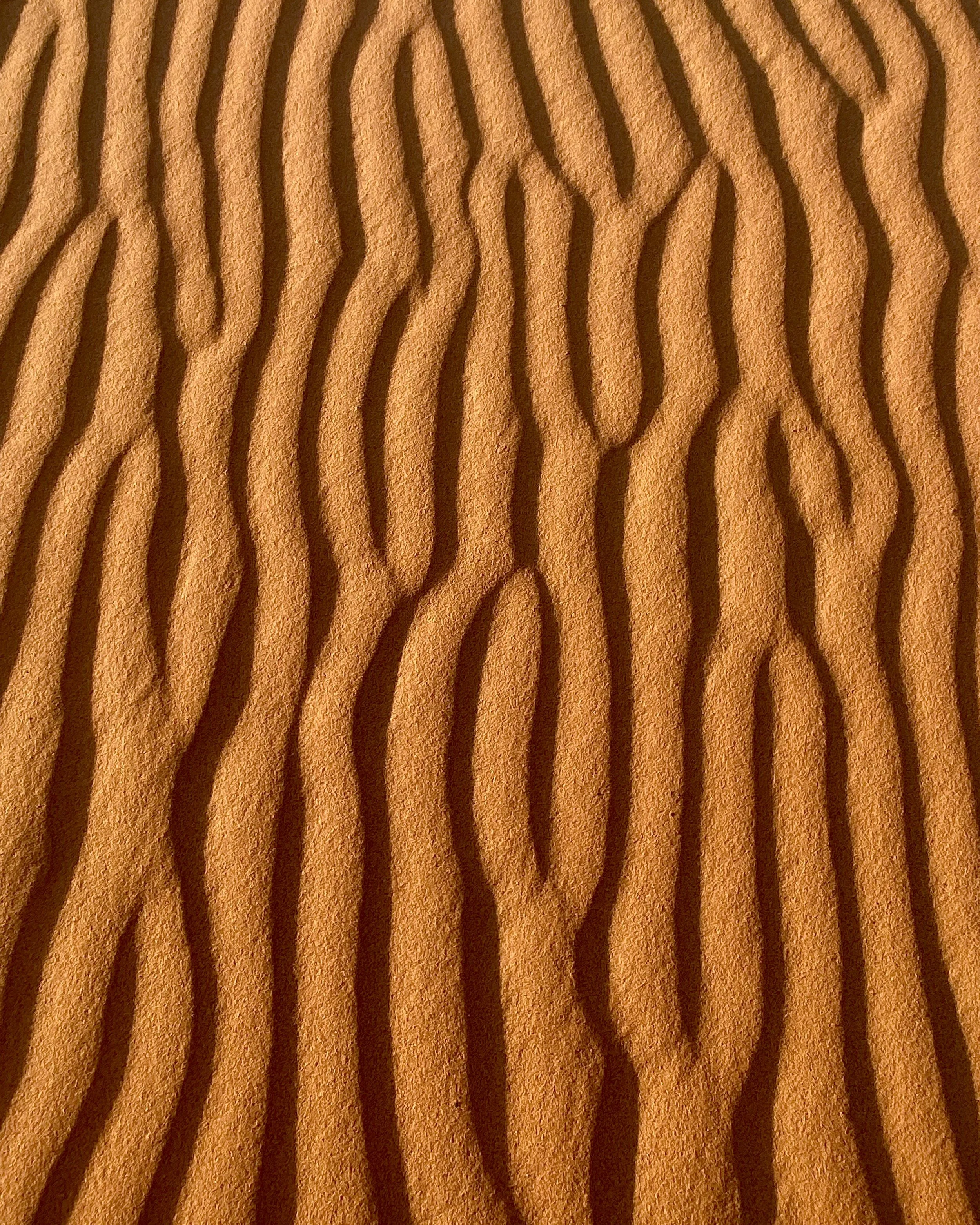 Sahara Desert (Sand).jpeg