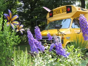 Bus.jpg