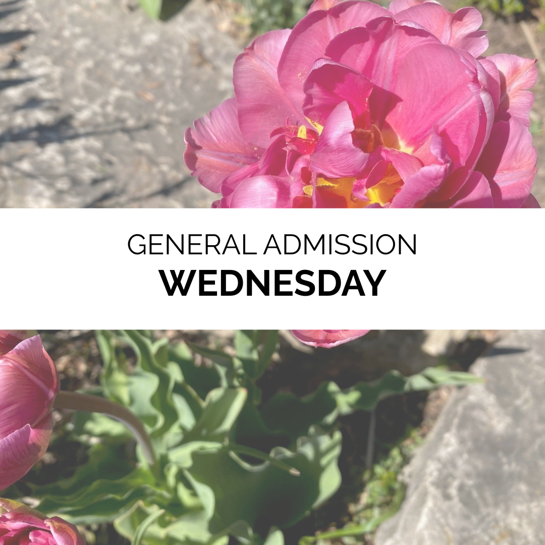 Advanced Admission - Spring