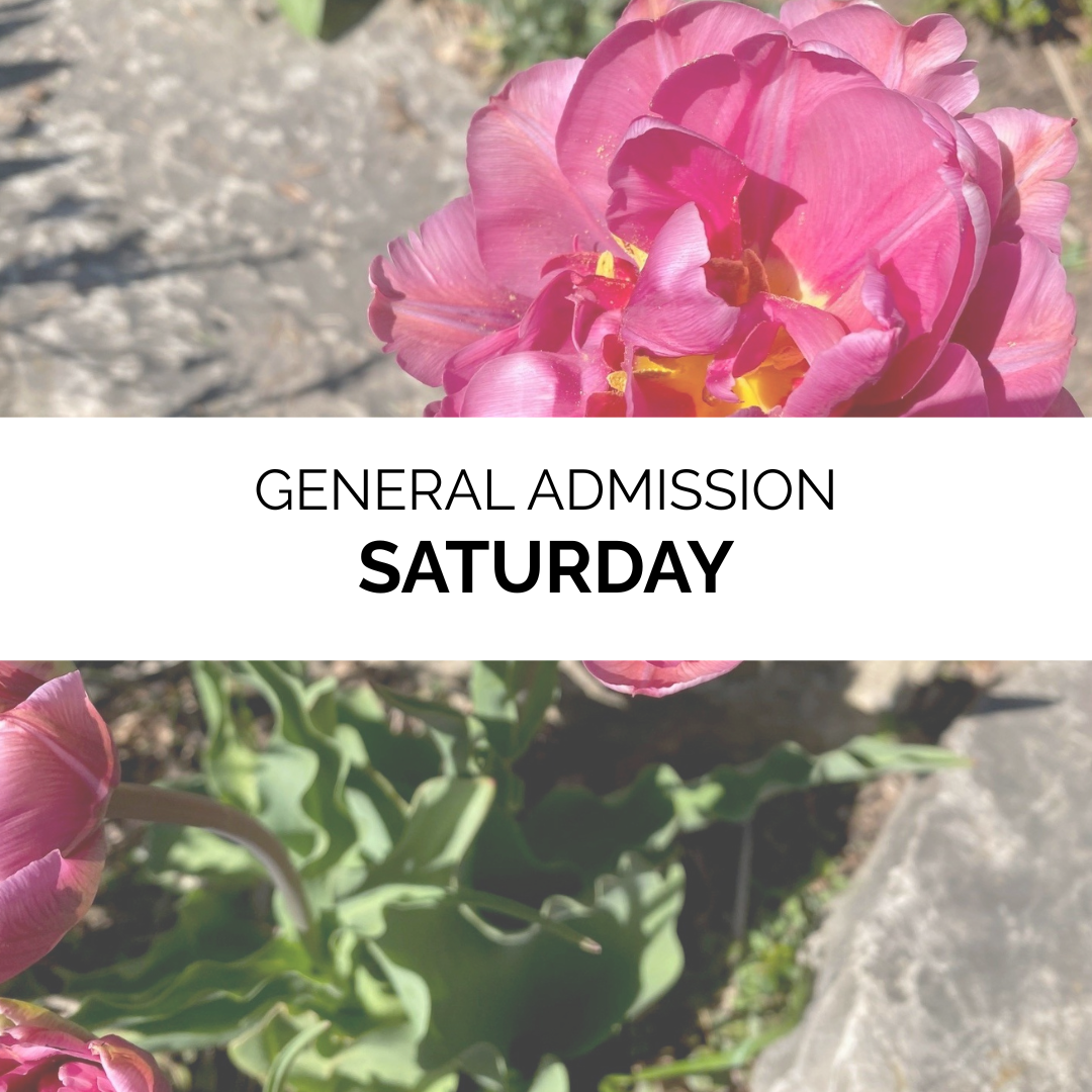 Advanced Admission - Spring