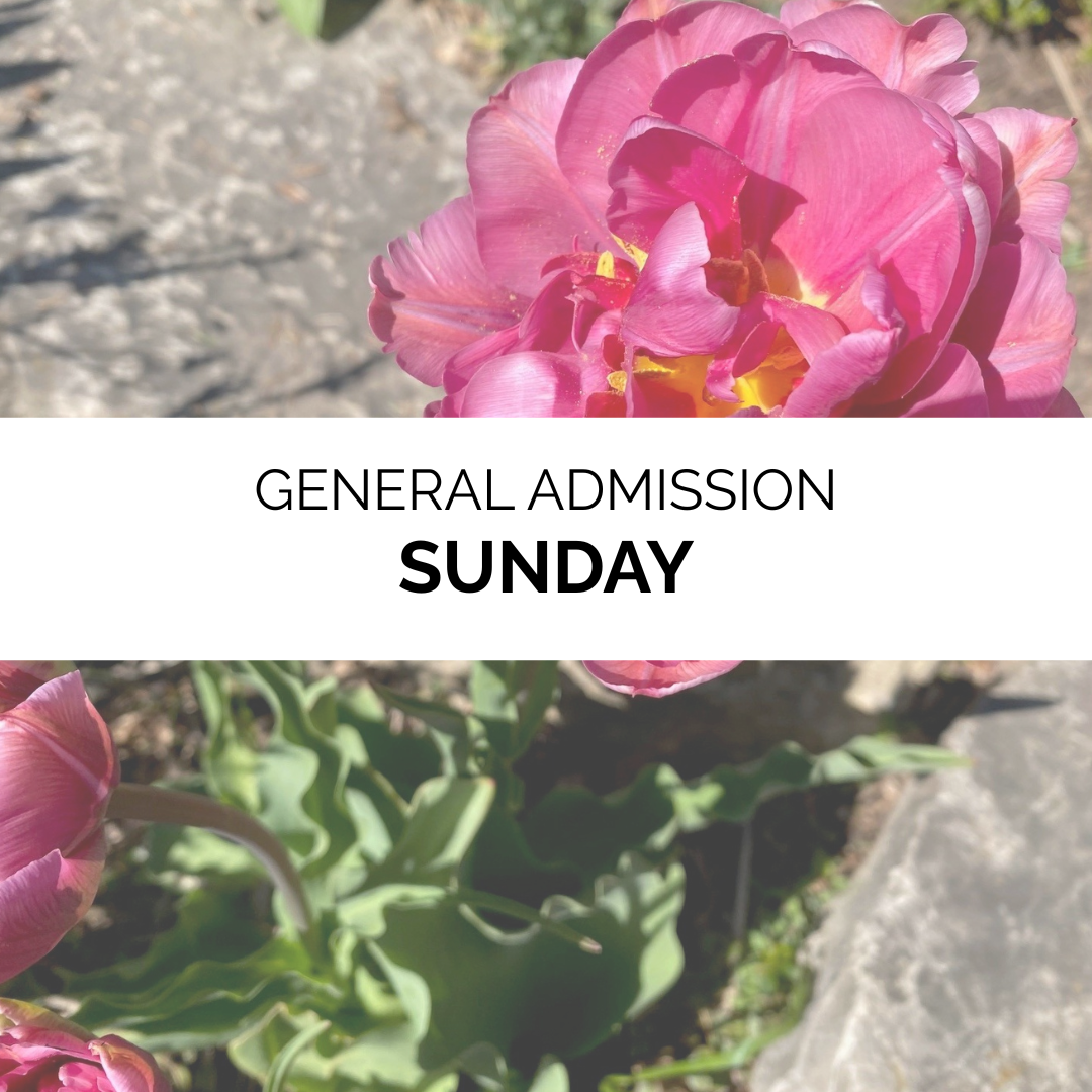 Advanced Admission - Spring — Bookworm Gardens