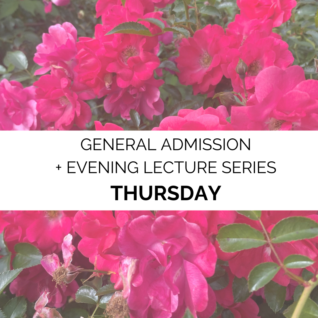 Advanced Admission - Spring