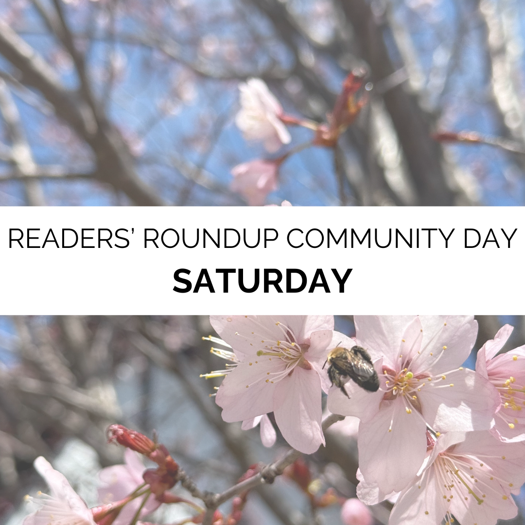Readers' Roundup Community Day and General Admission