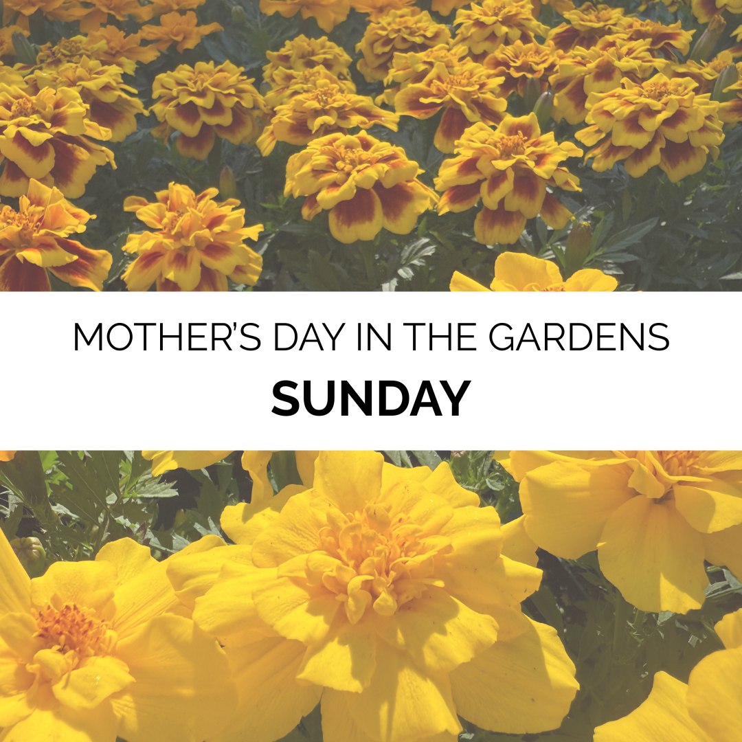 Mother's Day in the Gardens