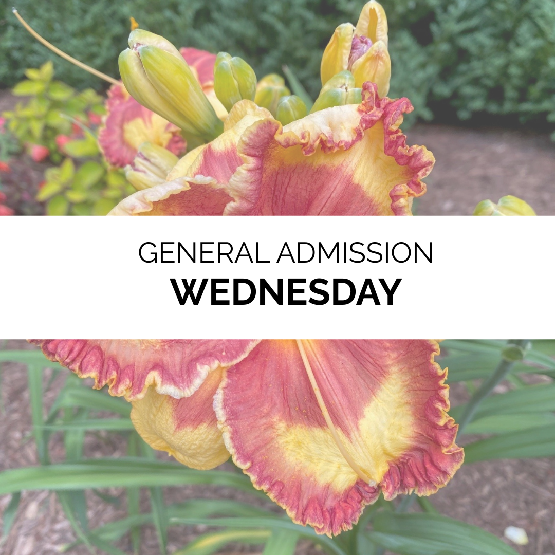 Advanced Admission - Summer