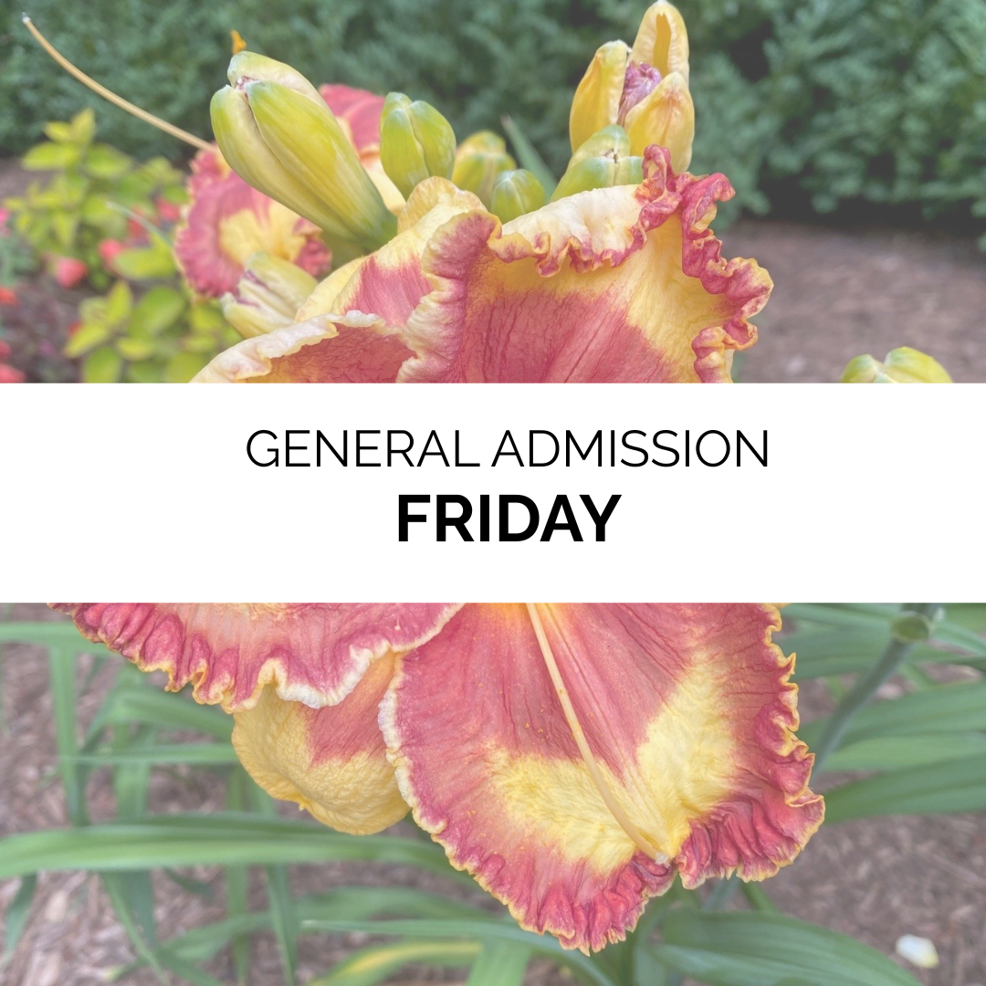 Advanced Admission - Summer