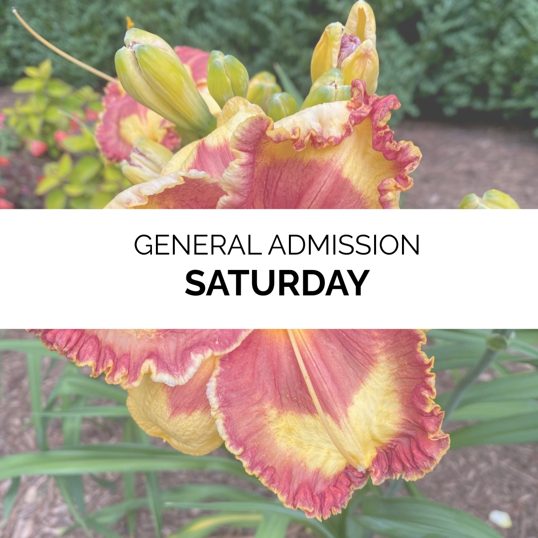 Advanced Admission - Summer 