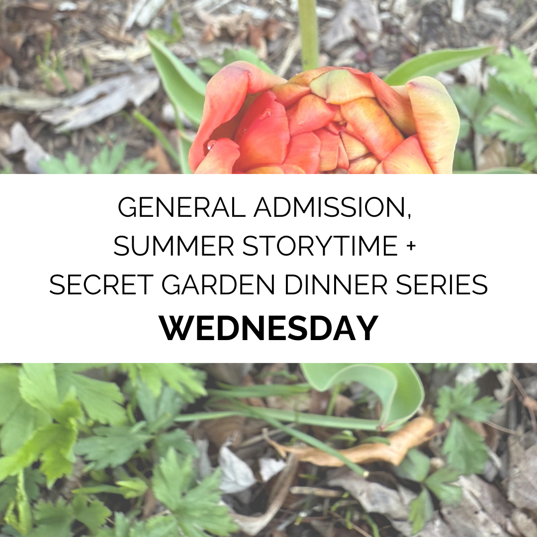 Advanced Admissions - Summer