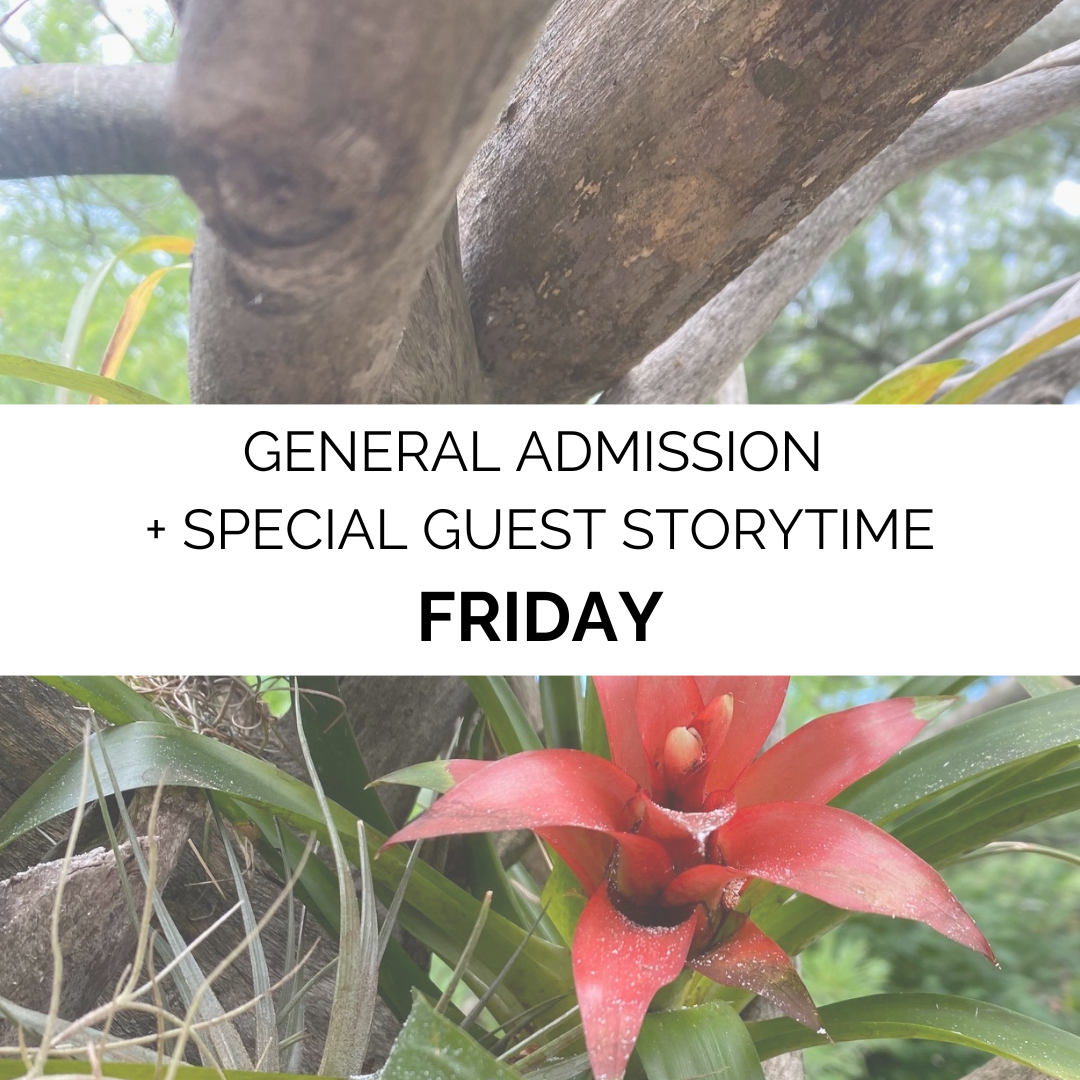 Advanced Admission - Summer