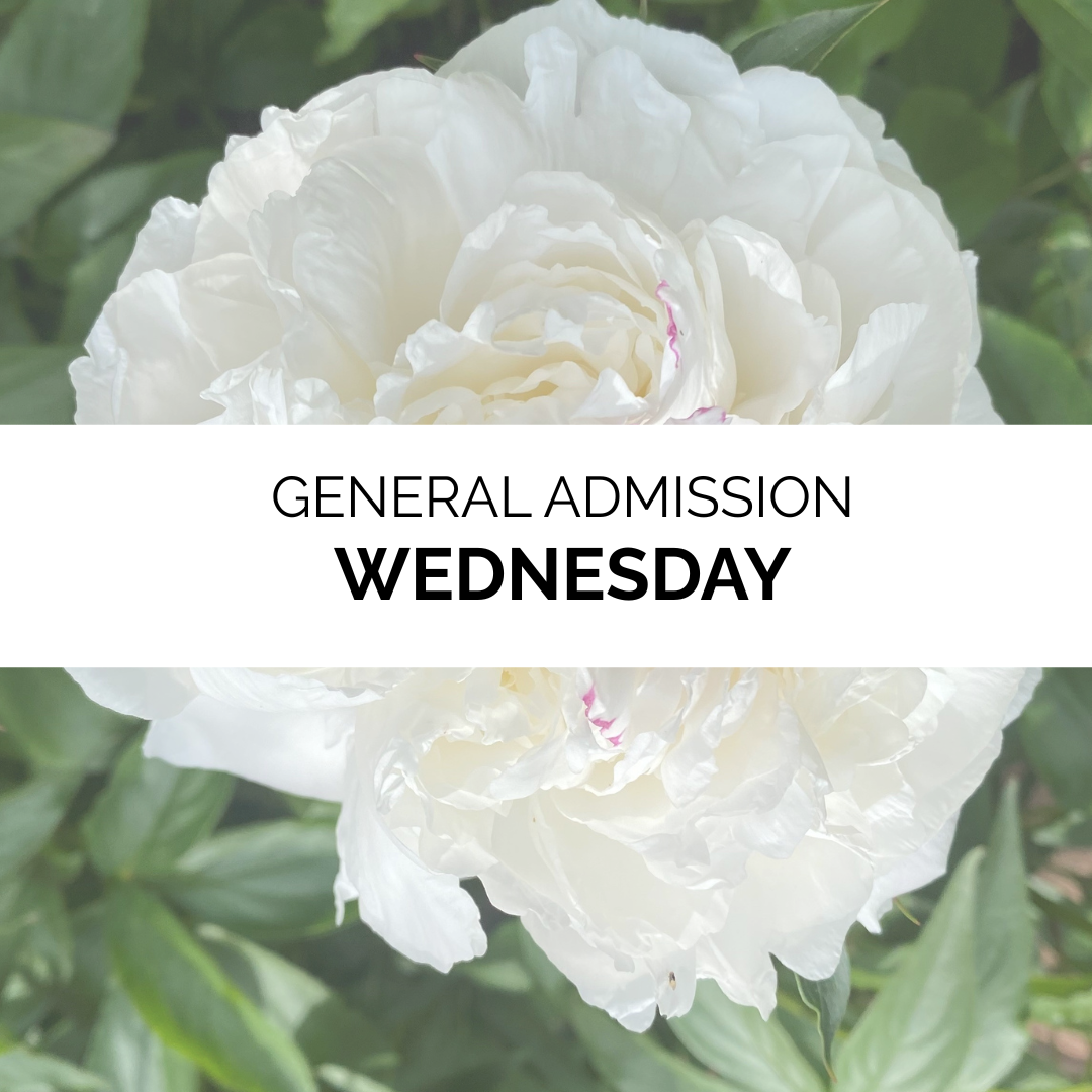 Advanced Admission - Summer