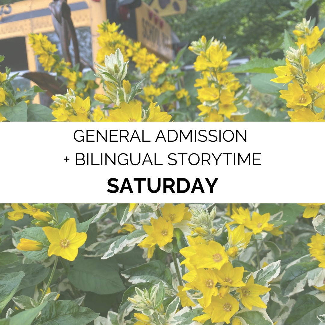 Advanced Admission - Summer