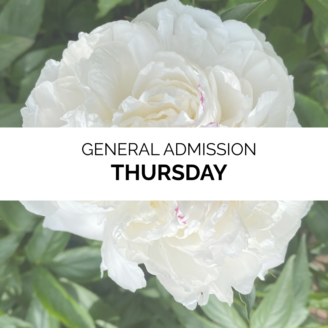 Advanced Admission - Summer