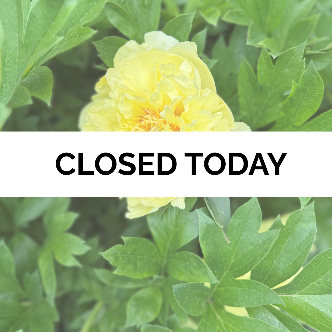 Closed for the 4th of July