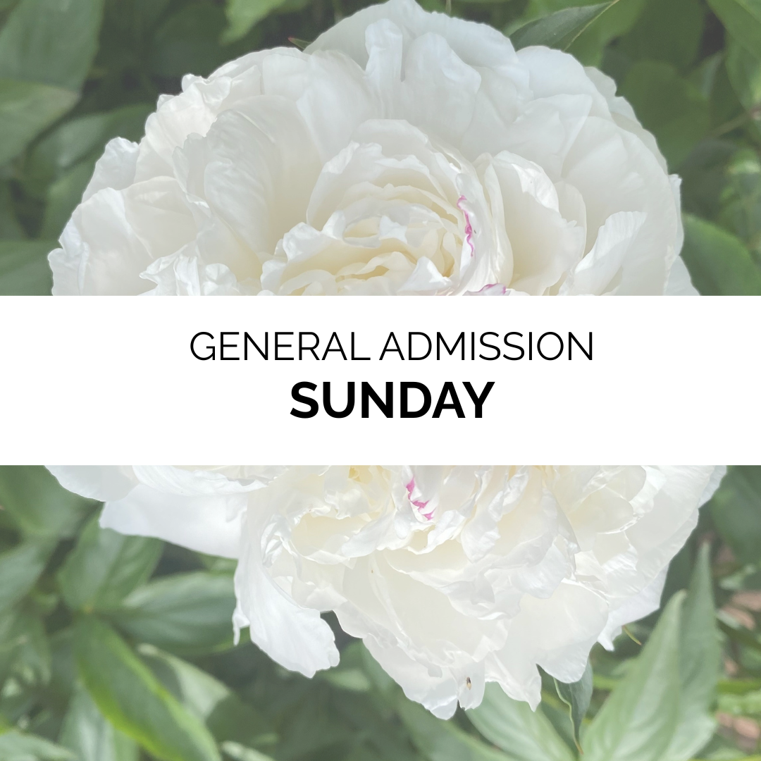 Advanced Admission - Summer