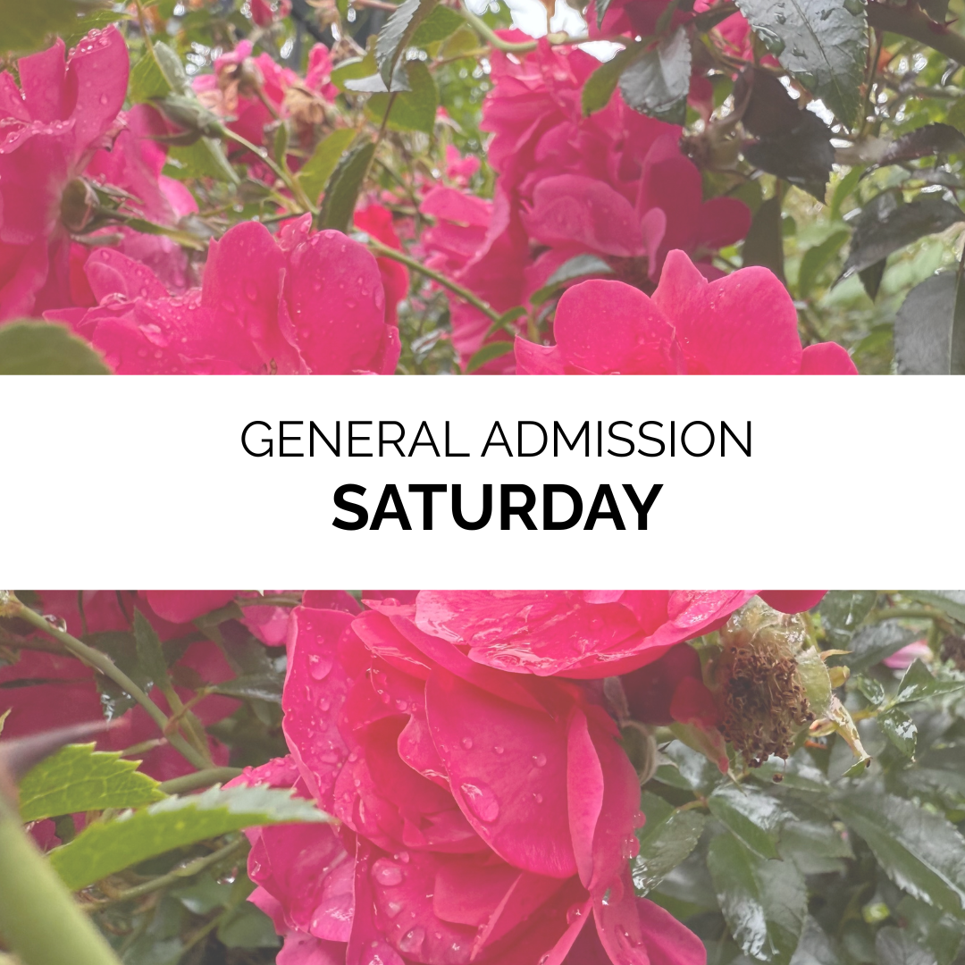 Advanced Admission - Summer