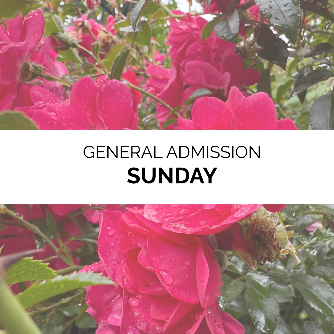 Advanced Admission - Summer