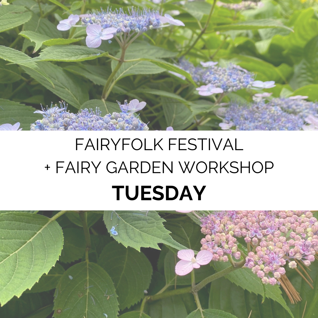 Fairyfolk Festival 