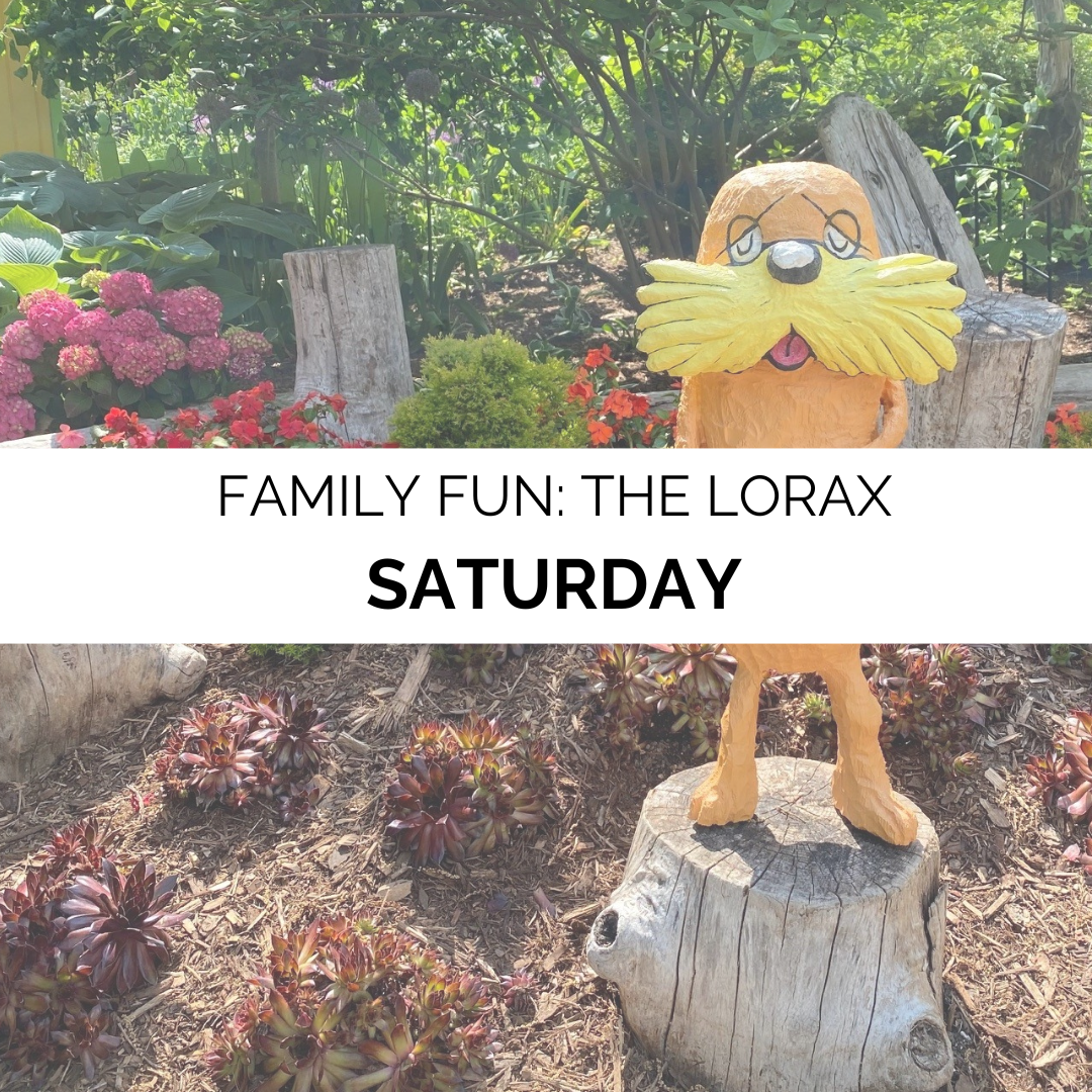 Family Fun: The Lorax
