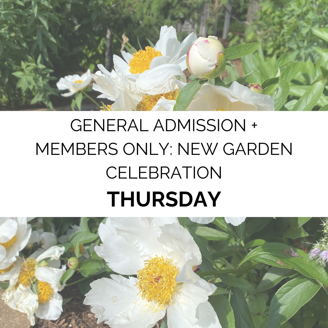 Advanced Admission - Fall