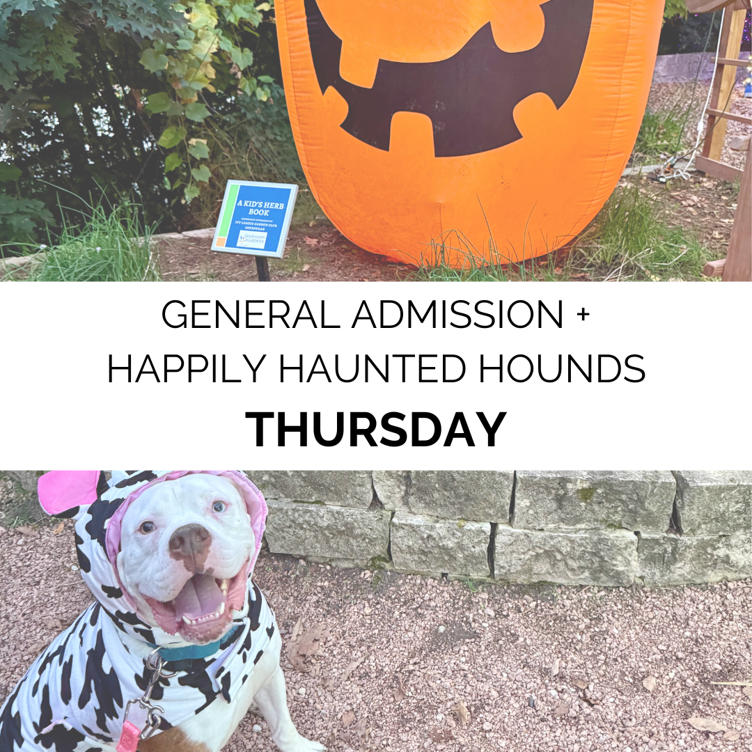 Advanced Admission - Fall