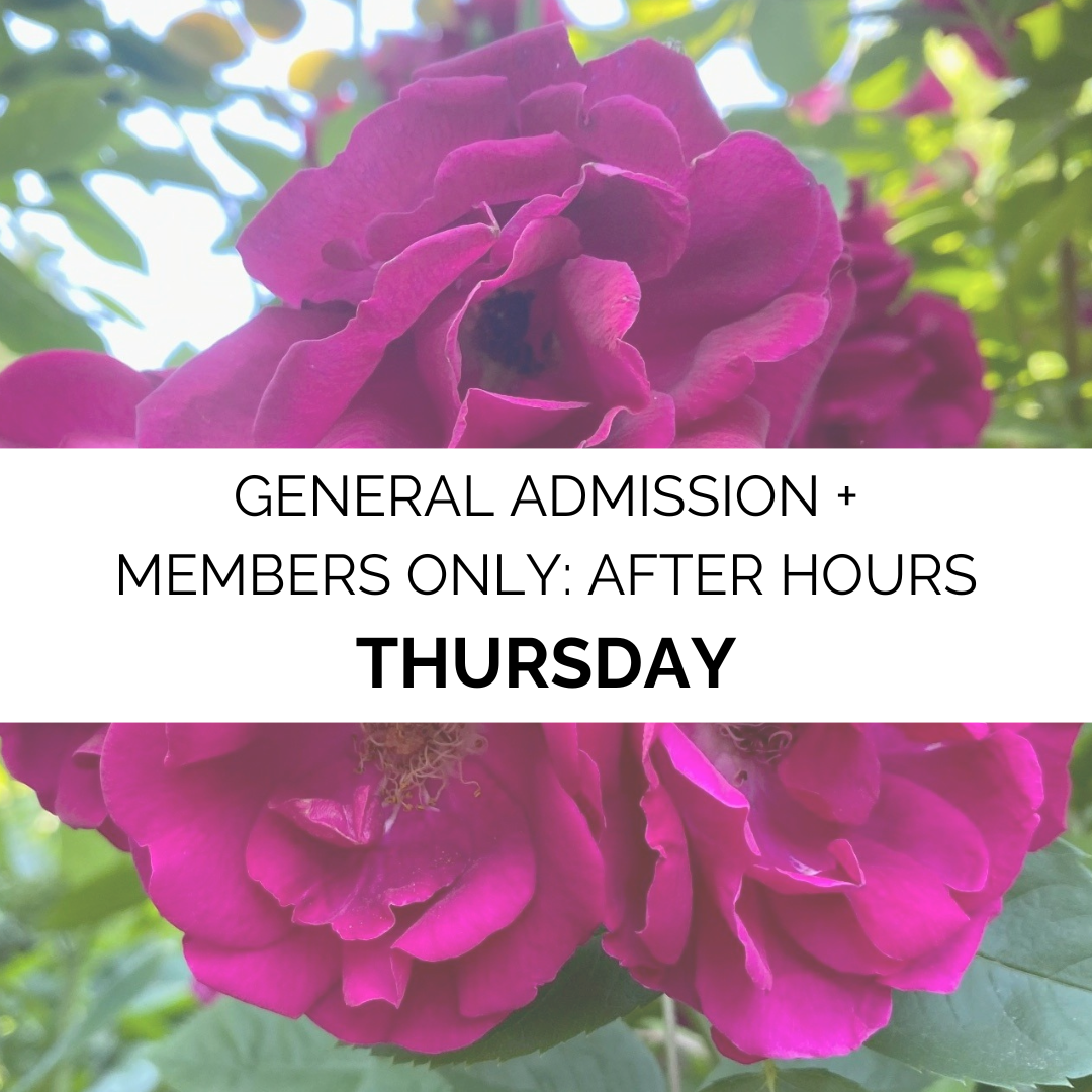 Advanced Admission - Fall