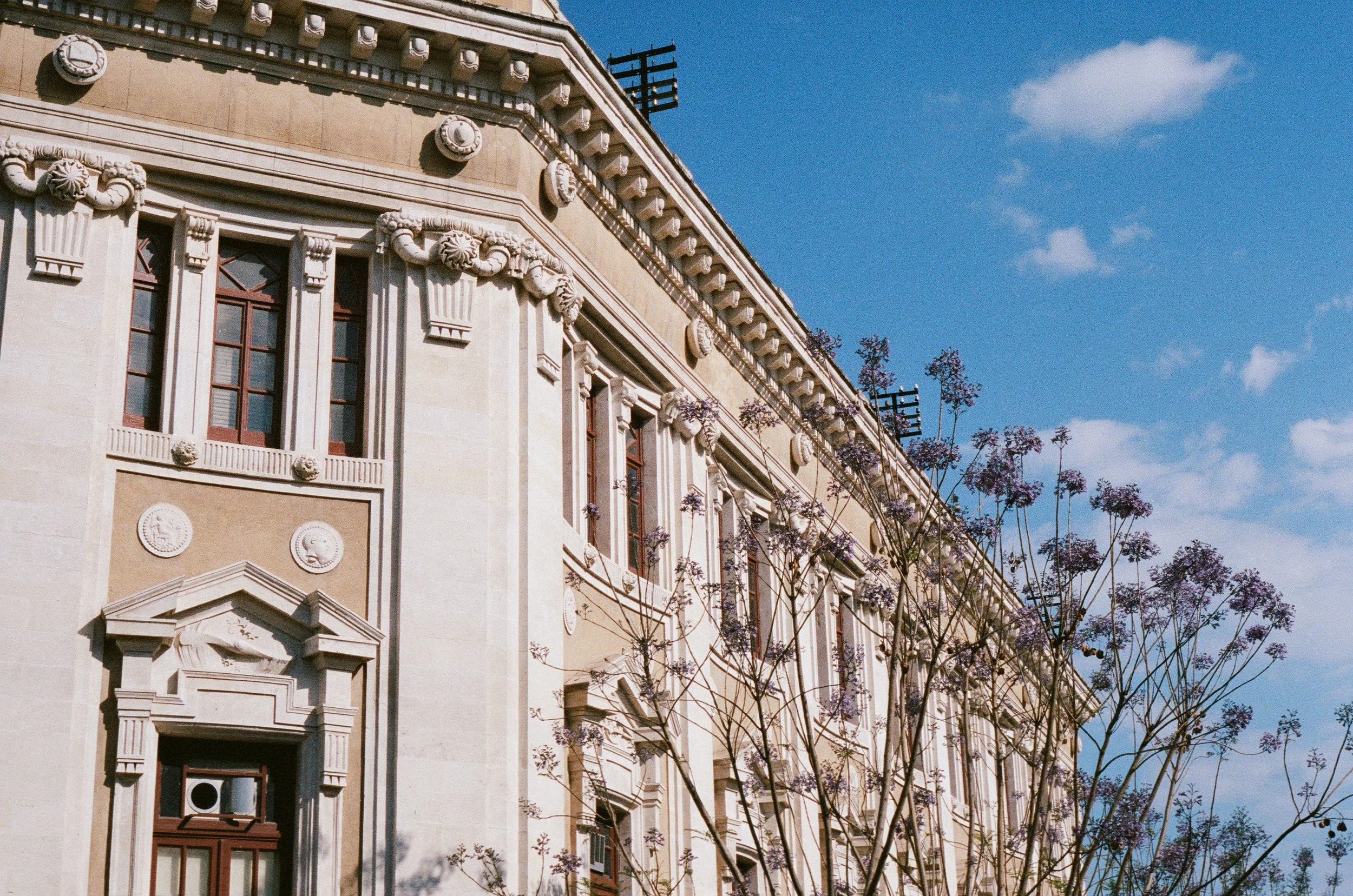 Catania