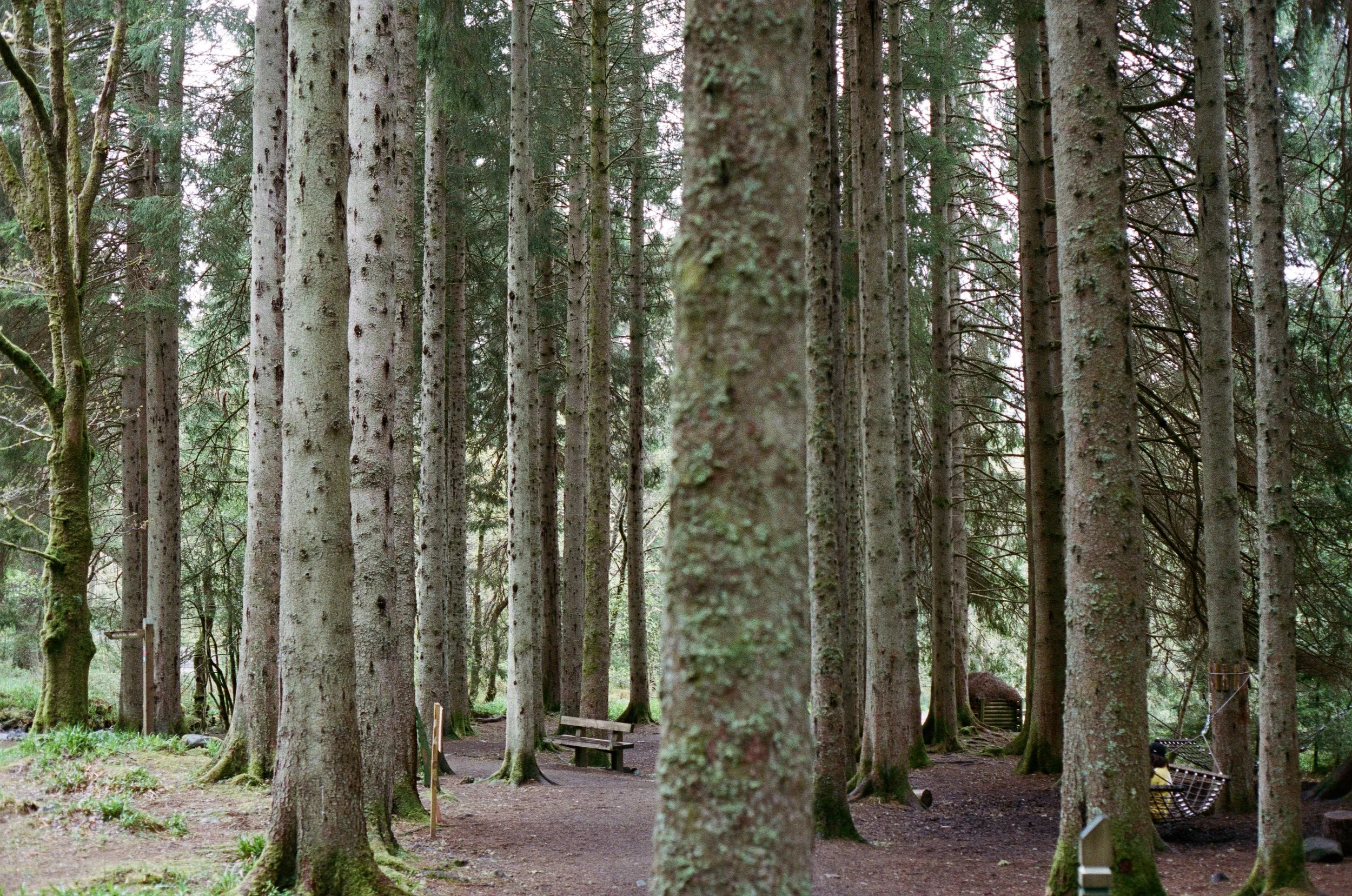 Aberfoyle