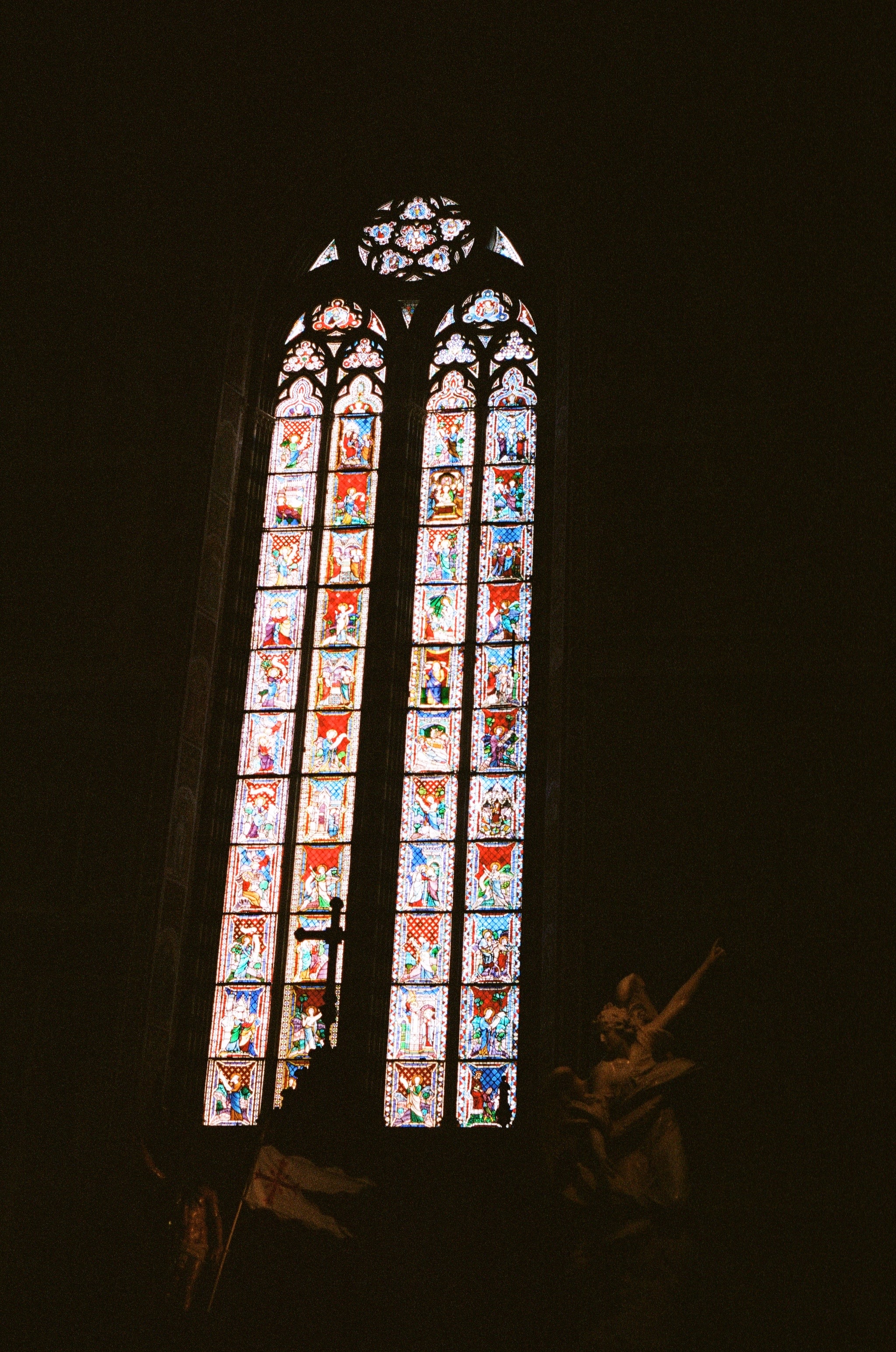 IMG_5366.jpeg