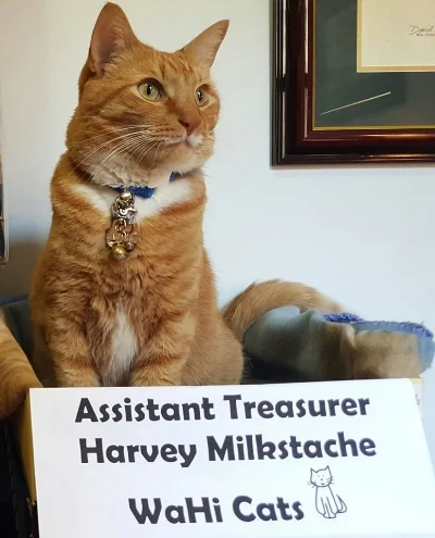 Harvey is looking forward to processing your donation.