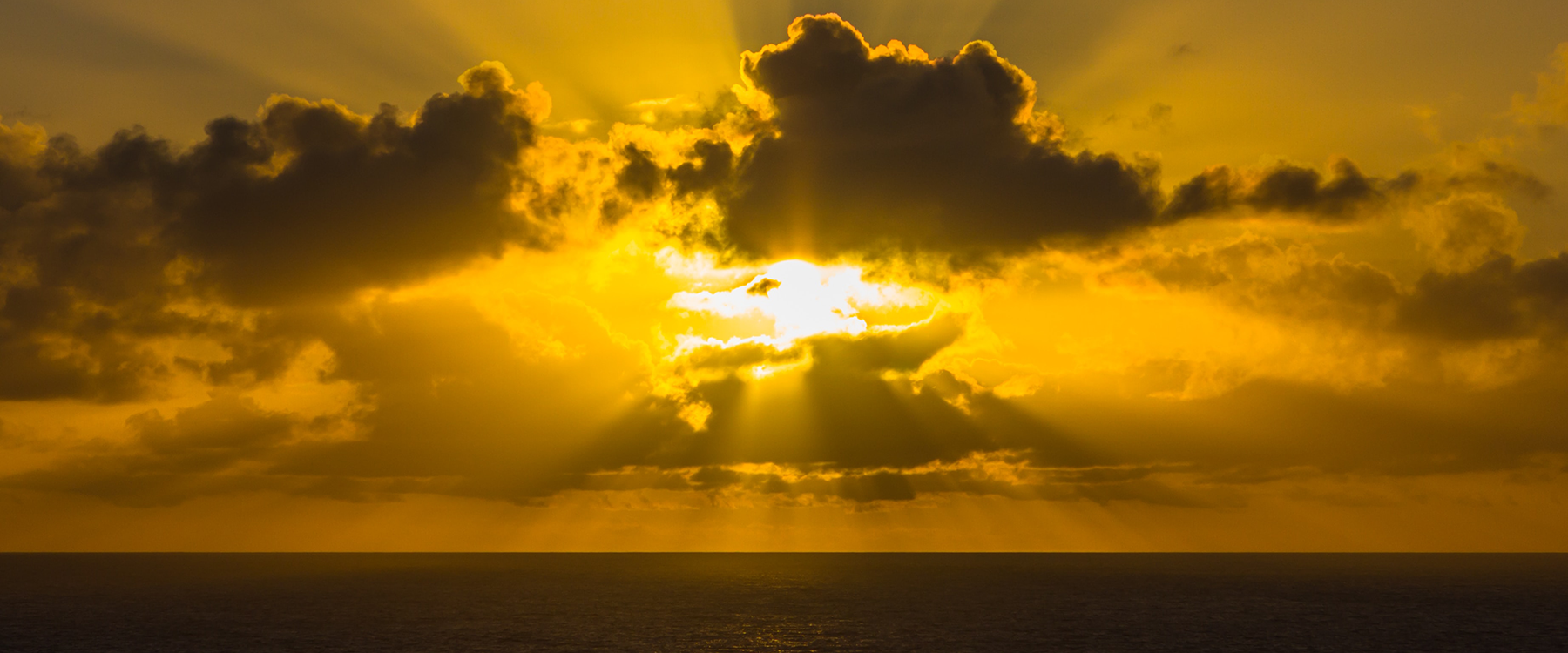 Sunday 8th December 2019