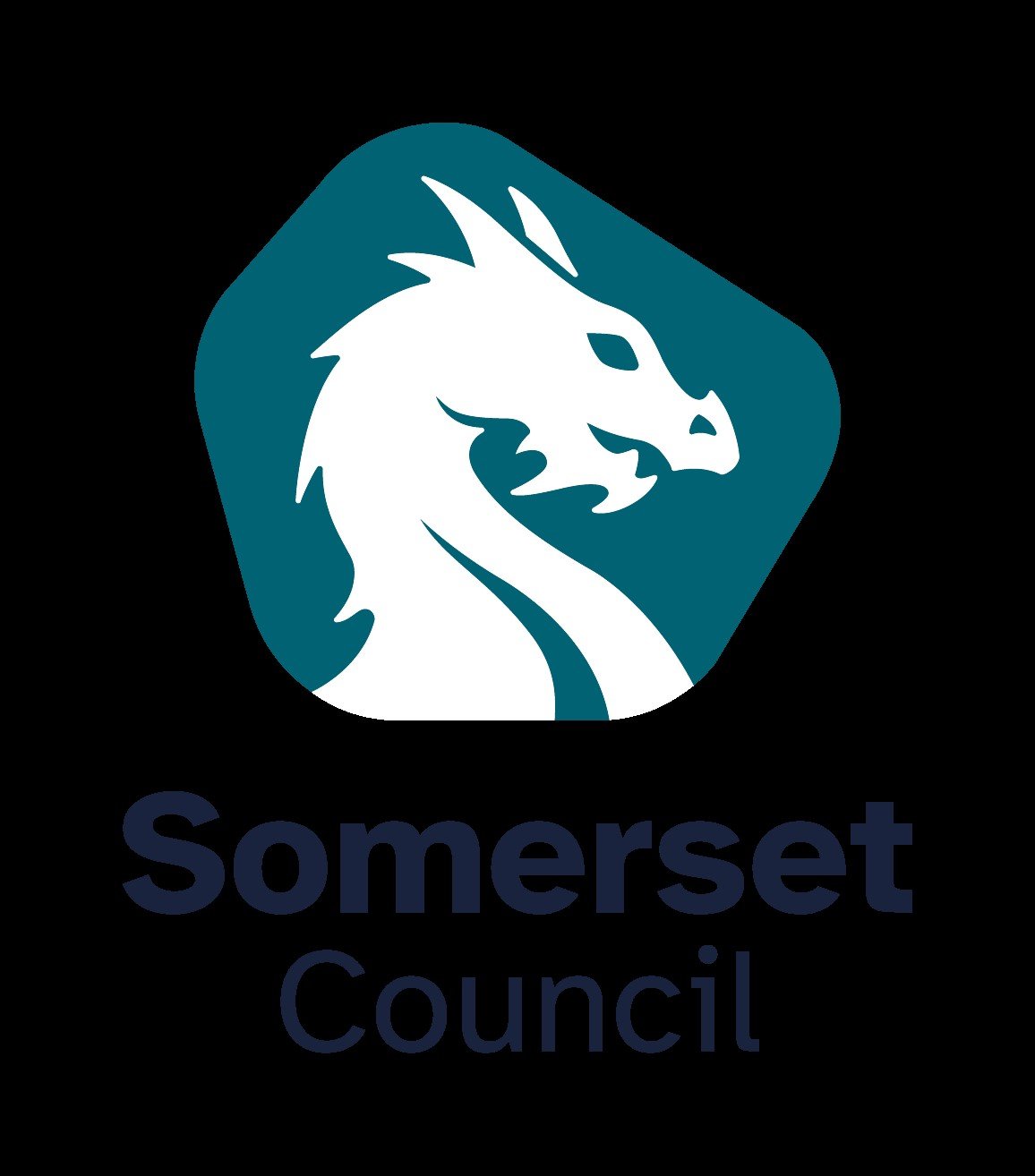 Somerset Council logo - vertical transparent.jpeg