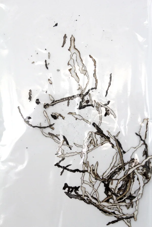 Katerina_Neofytidou_ Sun_Diaries