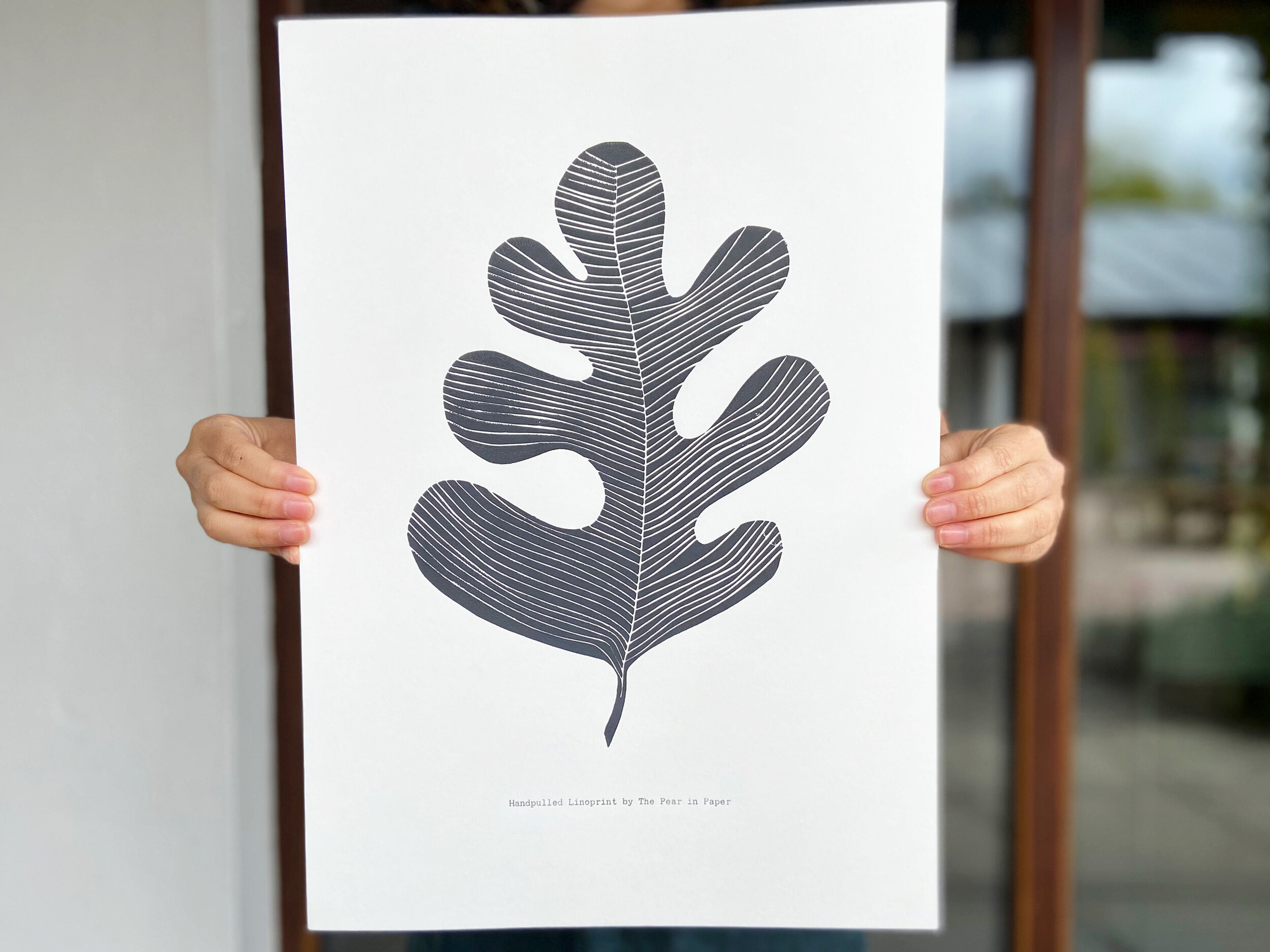 The sessile oak leaf - A3 linoprint