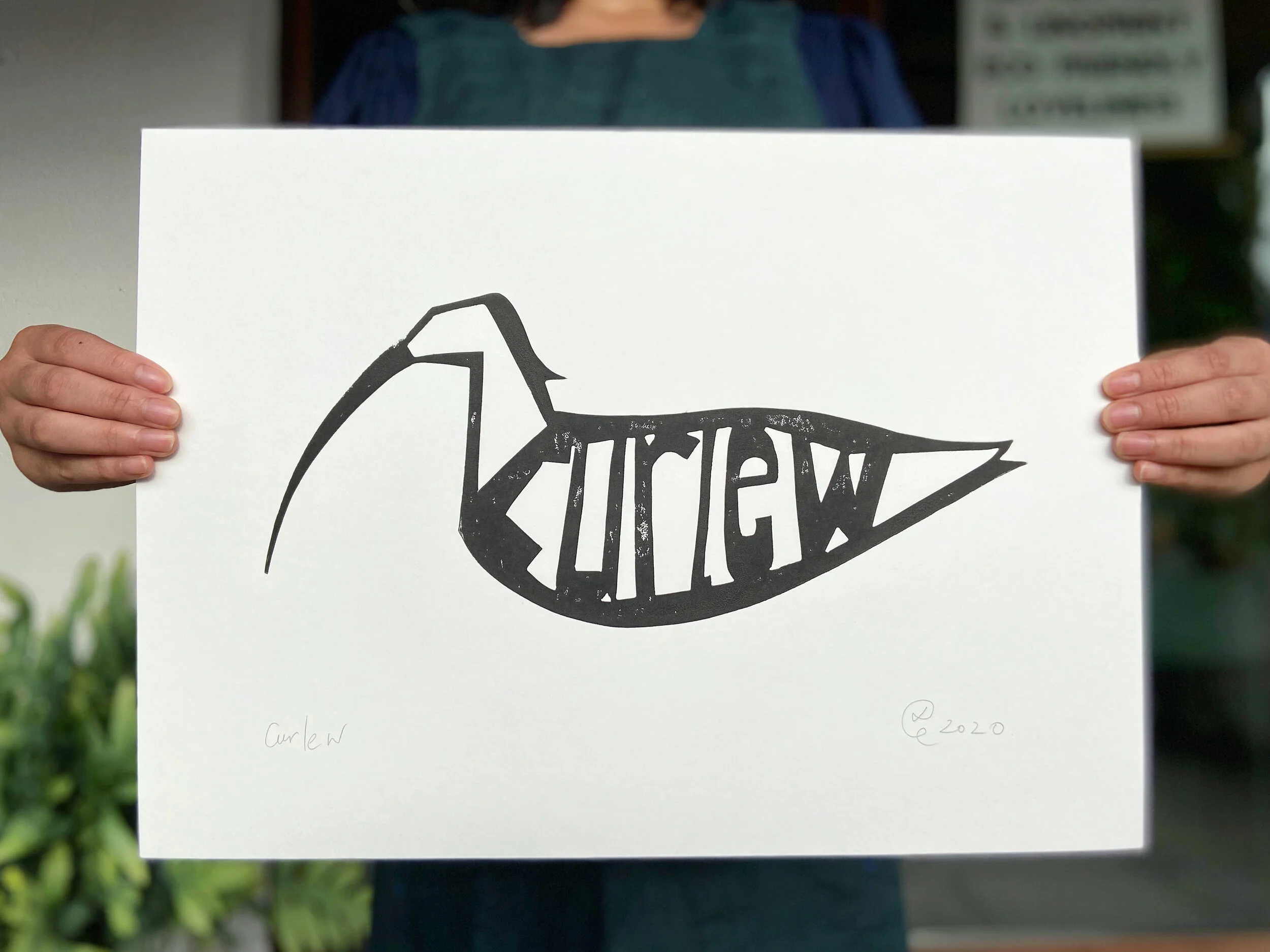 Curlew - endangered species - A3 linoprint