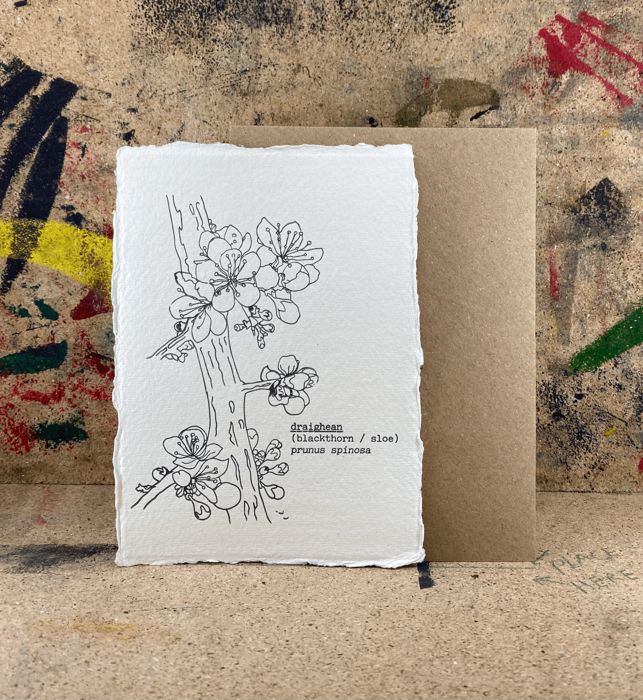 Blackthorn / Letterpress