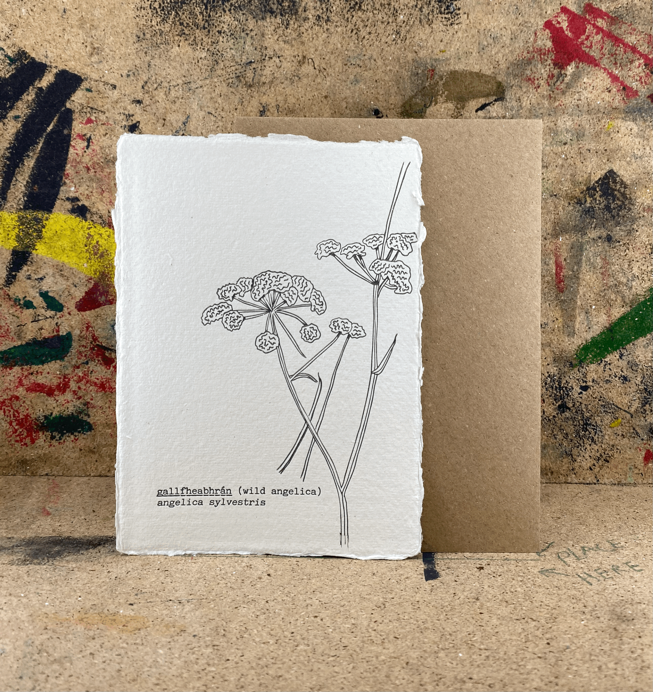 Wild Angelica / Letterpress
