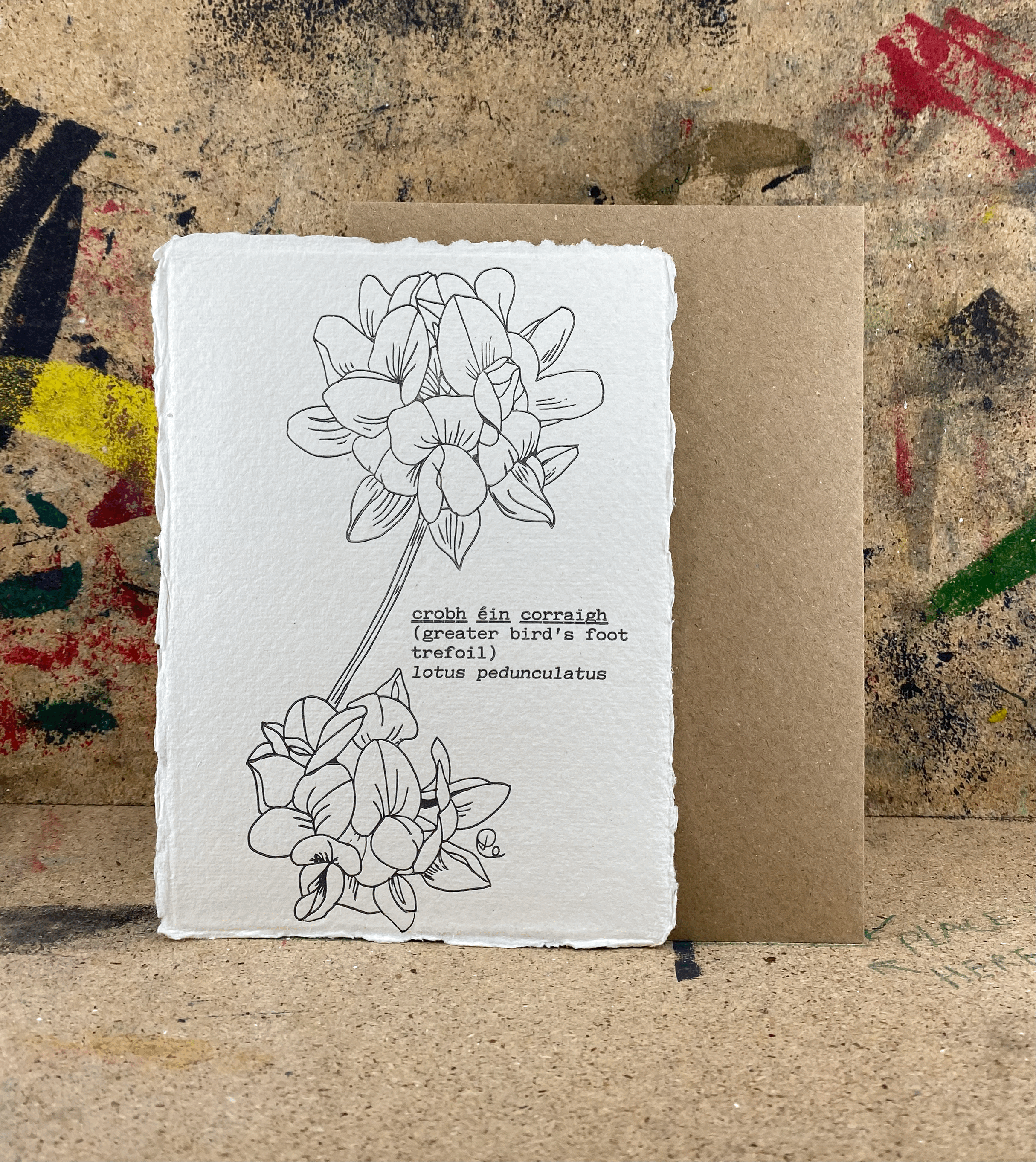 Greater Bird’s Foot Trefoil / Letterpress