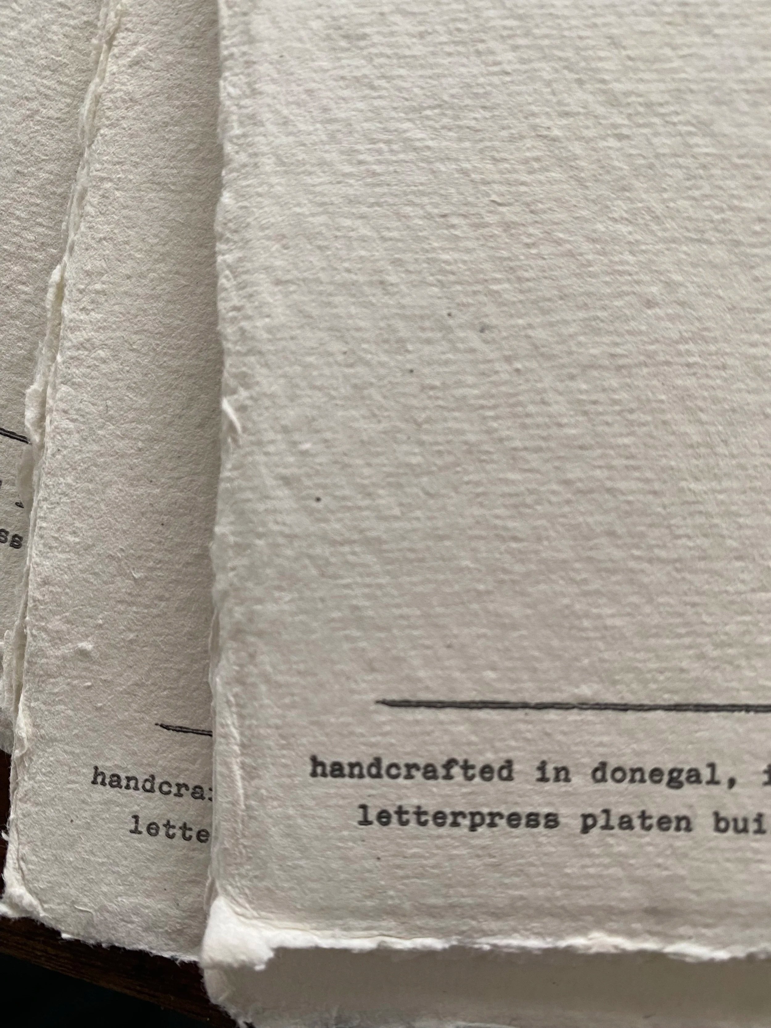 IMG_2111.jpg (Copy) (Copy) (Copy)