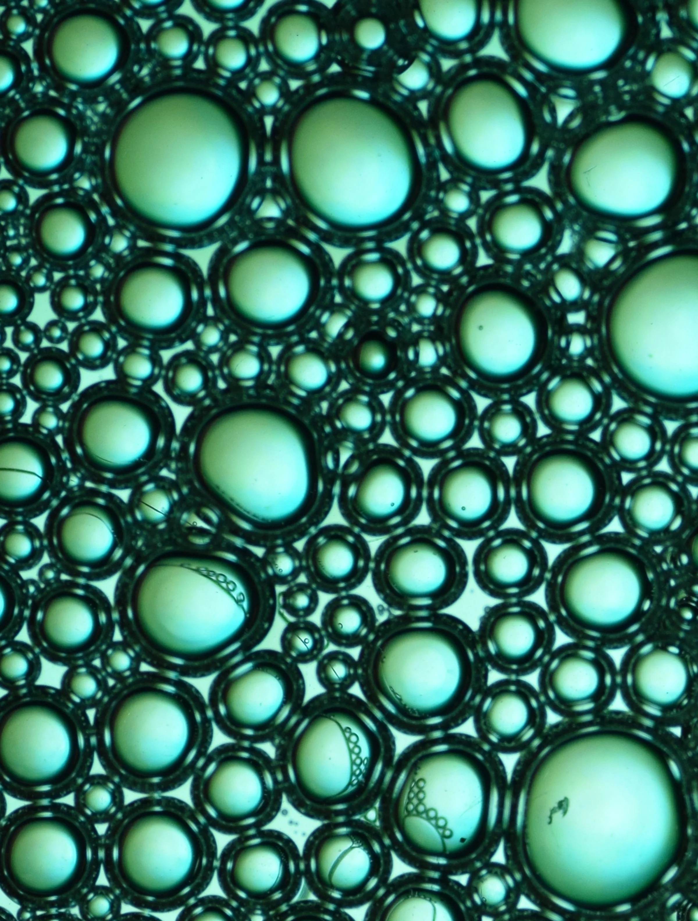 Round_bubbles.jpg