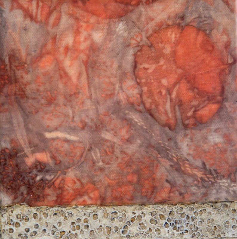 Eco Dye Immersion 4 6" x 6" eco dyed silk and mixed media sample
