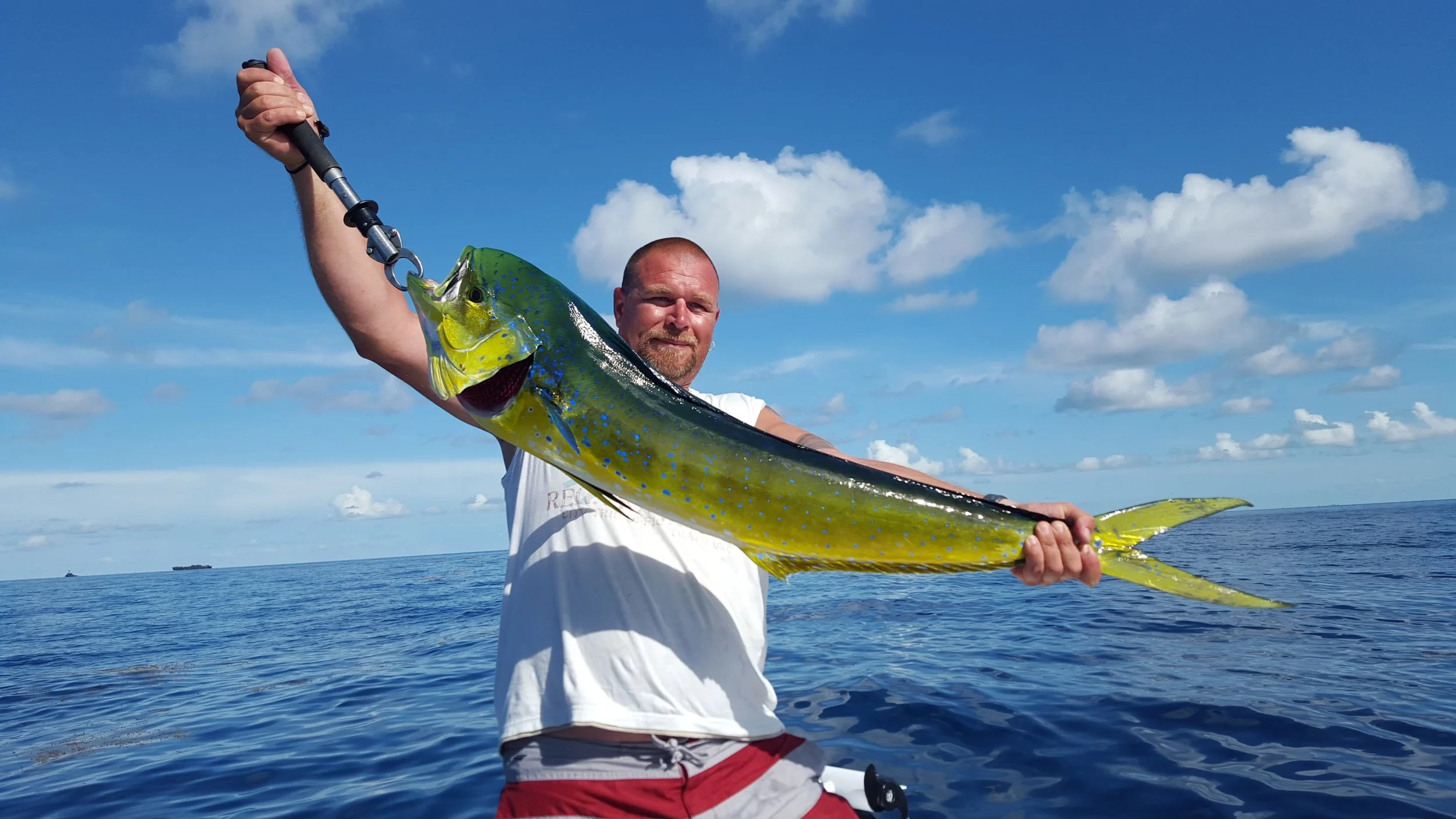 20150713_094143.jpg