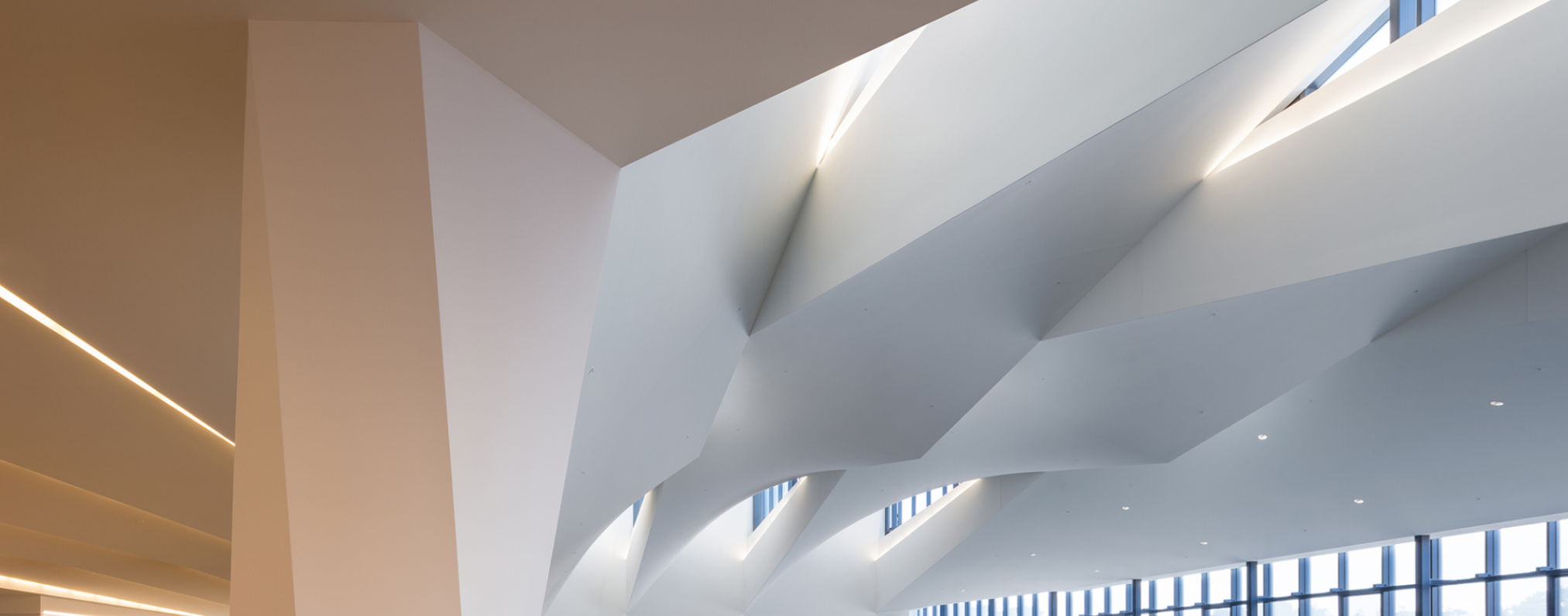 ALDA CAPI UNIVERSITY TORONTO 01.PNG