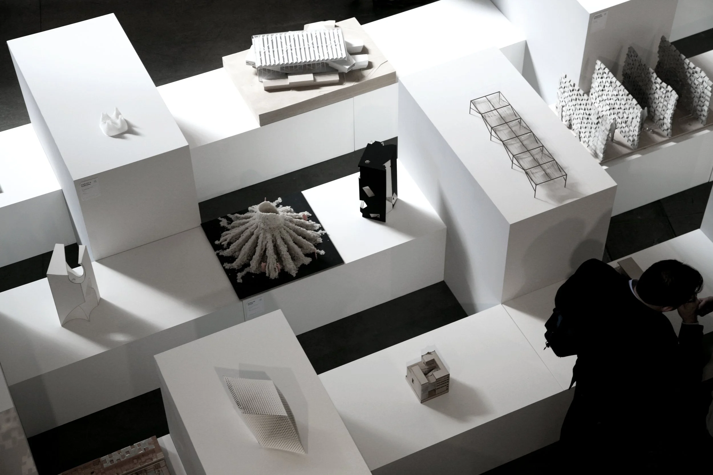 Alda Capi Exhibition CCA EOY 12.JPG