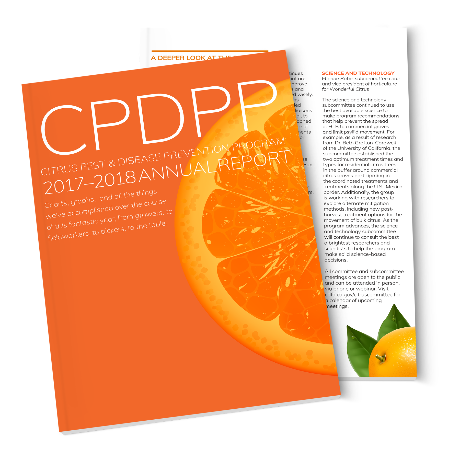 CPDPP annual report
