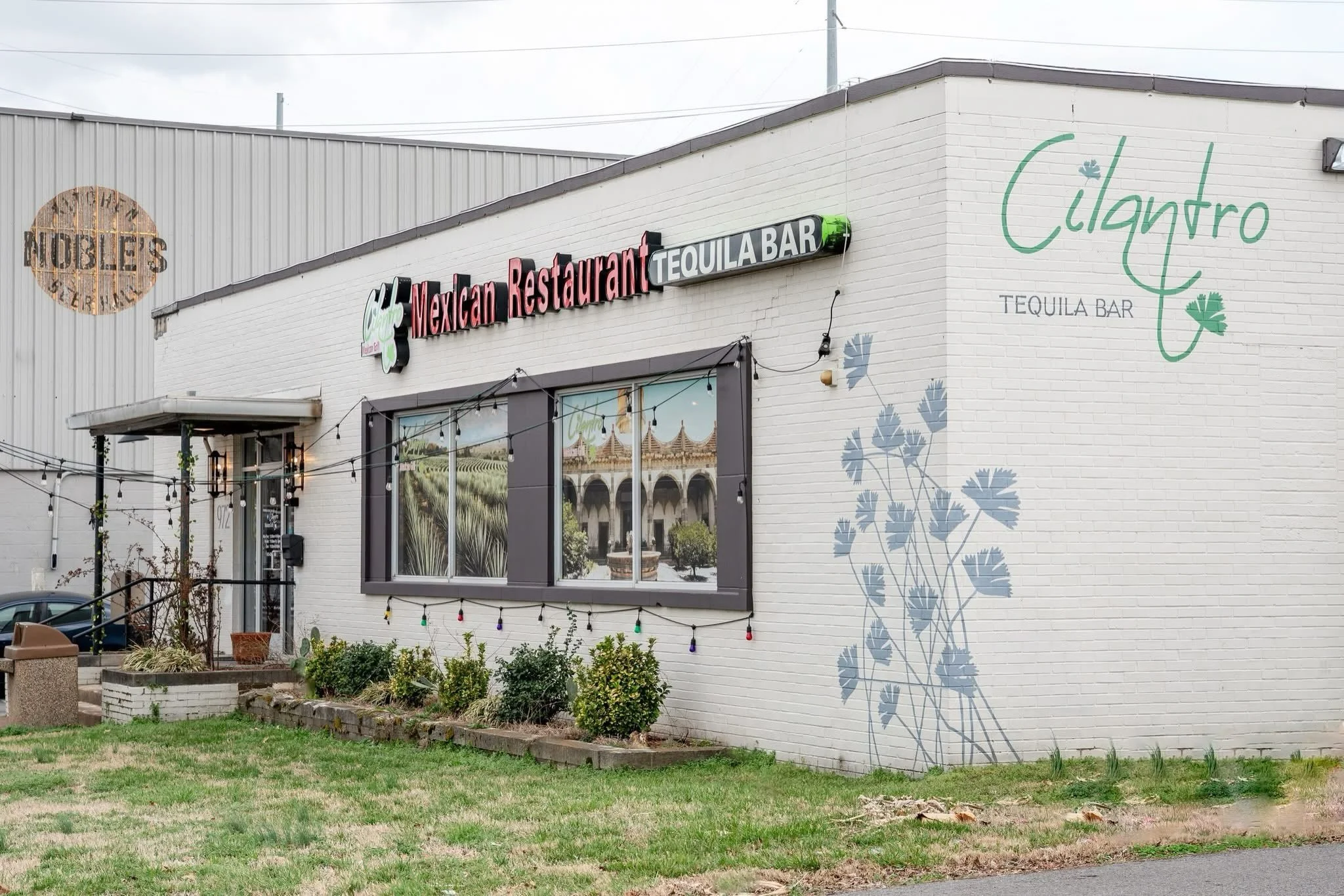 Welcome to Cilantro. 🌿✨

From the moment you arrive, you&rsquo;ll feel the warm and inviting atmosphere that makes Cilantro a favorite destination for authentic Mexican food.

Stop by and experience the taste of Mexico right here in Tennessee. 🌮🍹